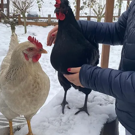 Ferienwohnung Oxana Im Naturpark Fichtelgebirge *