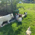 Ferienwohnung Oxana Im Naturpark Fichtelgebirge *