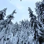 Ferienwohnung Oxana Im Naturpark Fichtelgebirge * Schonwald (Bavaria)