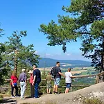 Apartmán Ferienwohnung Oxana Im Naturpark Fichtelgebirge Schonwald (Bavaria)