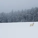 Ferienwohnung Oxana Im Naturpark Fichtelgebirge Apartmán