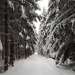 Ferienwohnung Oxana Im Naturpark Fichtelgebirge