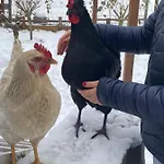 Ferienwohnung Oxana Im Naturpark Fichtelgebirge *