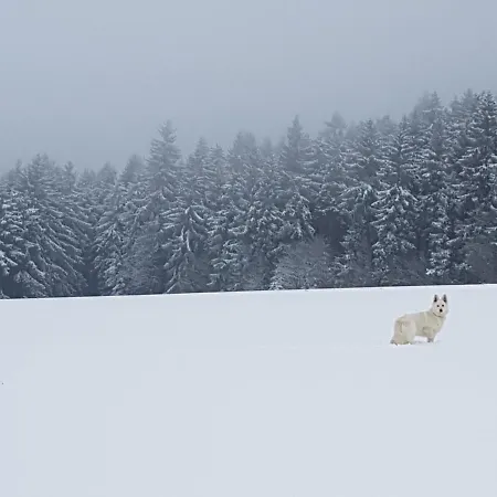 Ferienwohnung Oxana Im Naturpark Fichtelgebirge Appartamento