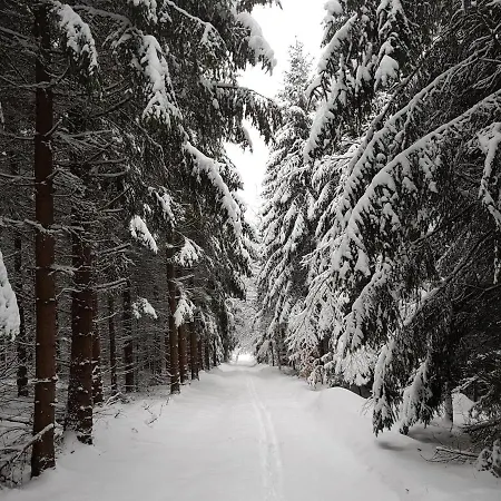 Ferienwohnung Oxana Im Naturpark Fichtelgebirge